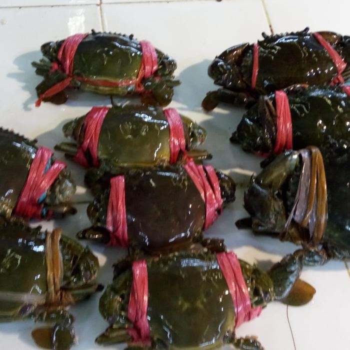 

Kepiting Hitam Kecil 1 kg
