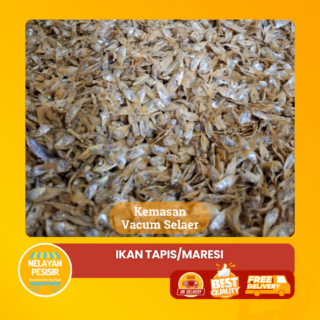 

Ikan Asin Semadar/ Tapis Super / Maresi Kualitas Terbaik Harga Termurah Bisa COD