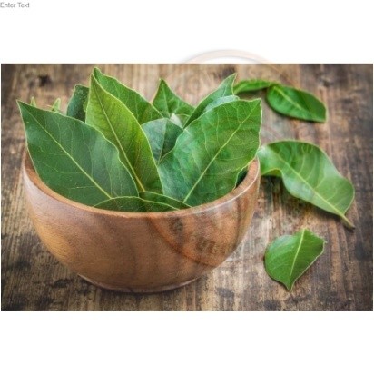 

Daun Salam Segar - Non Pestisida / Bay Leaf