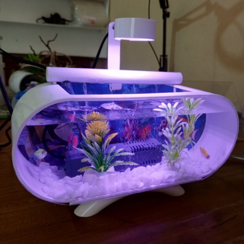 Aquarium Mini Akrilik Minimalis Full Set Besar Jumbo Pompa Filter Dan Lampu Led