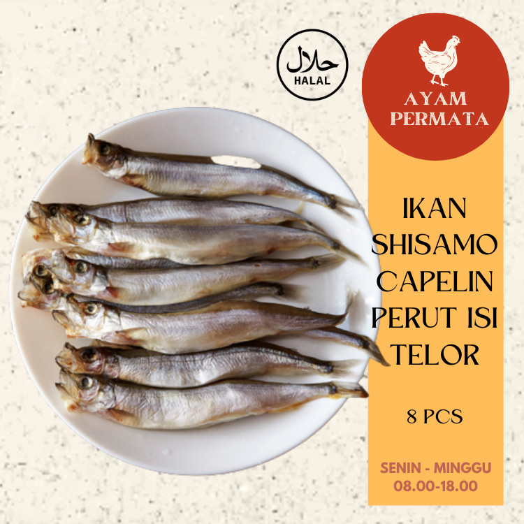 

Ikan Sisamo Telur - Shisamo Fish Telor - Capelin Jepang Air Laut by Ayam Permata - AyamFreshPermata