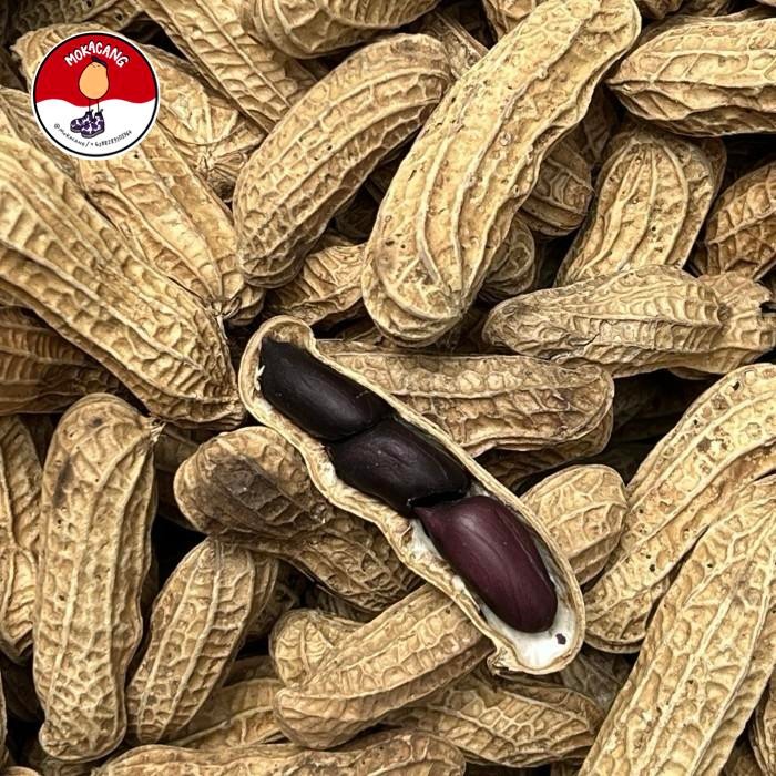 

Kacang Hitam / Kacang Sangrai Hitam / Kacang Tore Hitam Kawangkoan Snacks Cemilan - 400 gram