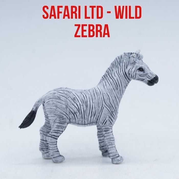 Safari Ltd - Wild Sauvage -Zebra Horse Kuda Zebra Equus Quagga Small Size Ukuran Kecil Mainan Binata