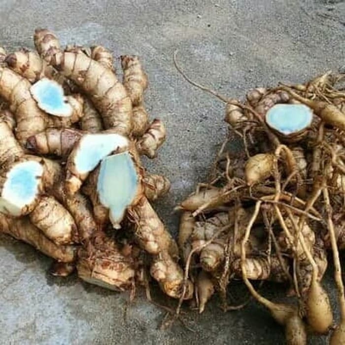 

Promo COD Temu ireng - kunyit hitam 500gram Lestari_Desaku