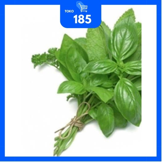 

Daun Kemangi / Daun Cemangi Ikat Kecil