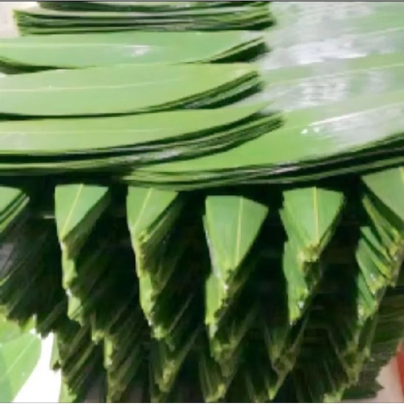 

new.. terbaik daun bambu bungkus bakcang super jumbo 100 lembar berkualitas tinggi 100 lembar