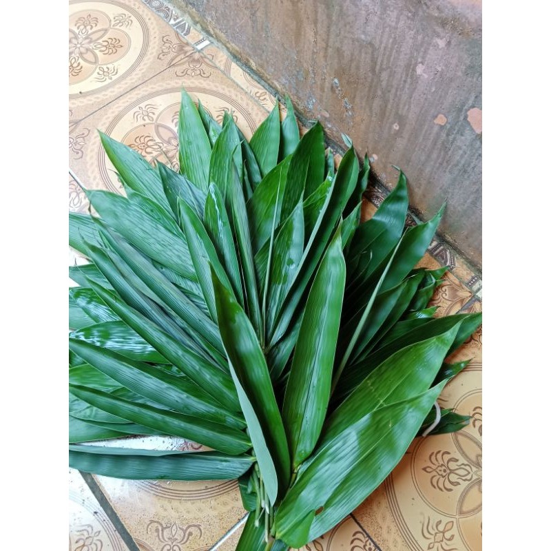 

new.. daun bambu bungkus bakcang super 150 lembar