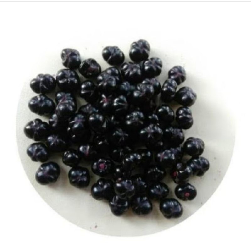 

new.. buah binahong segar fresh herbal 150 biji