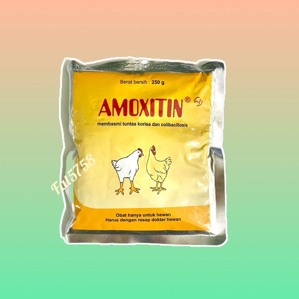 Amoxitin NF 250 Gr