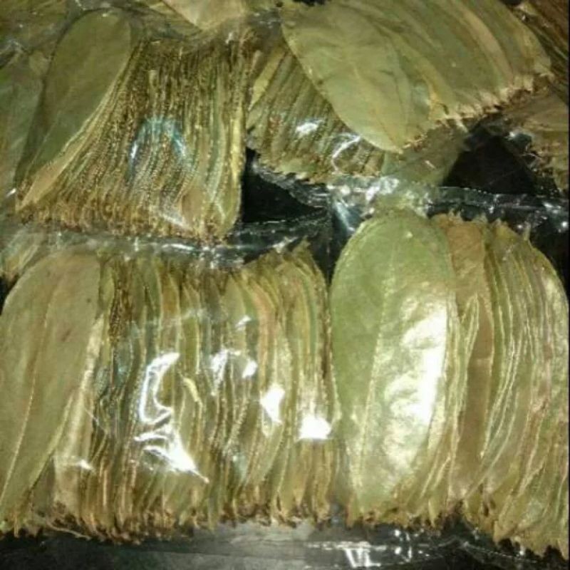 

DAUN SIRSAK KERING 30 LEMBAR Y