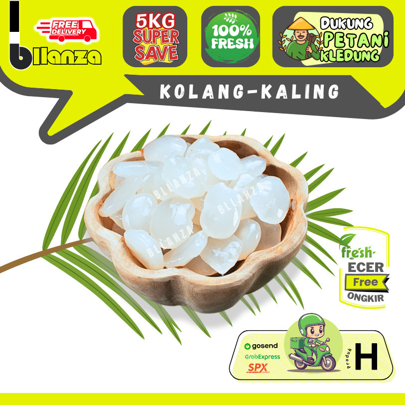 

BIG PROMO Bllanza | Kolang Kaling — Sahabat Makan Sayur Ecer (H) ready