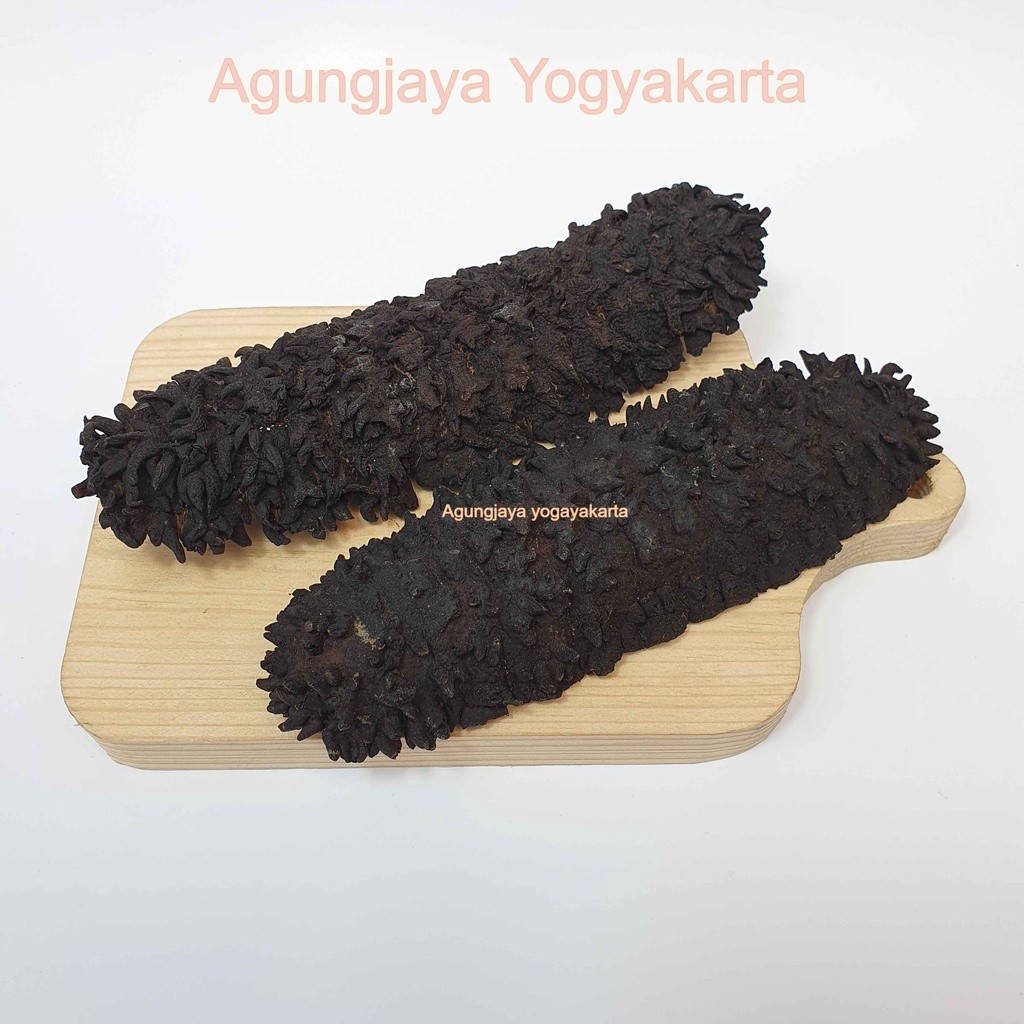 

Teripang Nanas / Timun Laut / Sea Cucumber / Haisom ( export Quality )