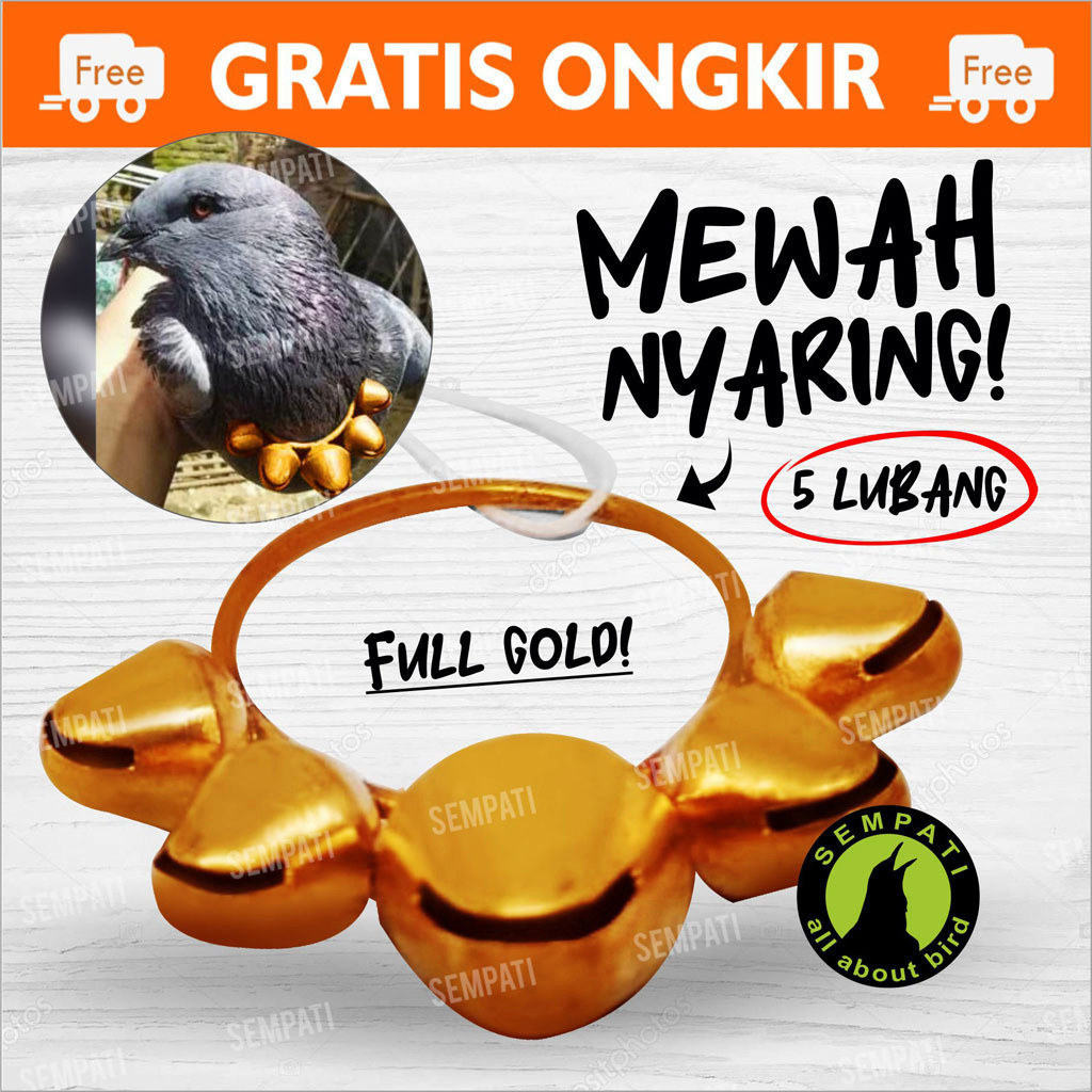 SEMPATI SAWANGAN KALUNG LONCENG KUNINGAN SAWANGAN MERPATI HATONG HOTANG PLUIT PELUIT LATIH BURUNG KL