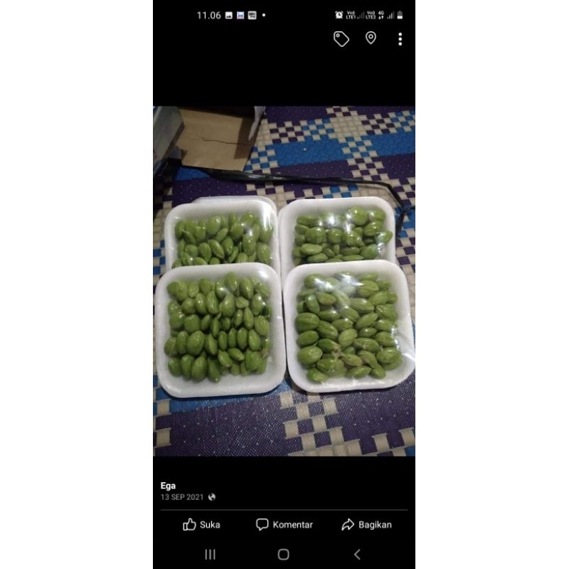 

Pete Kupas Fresh terlaris berkualitas