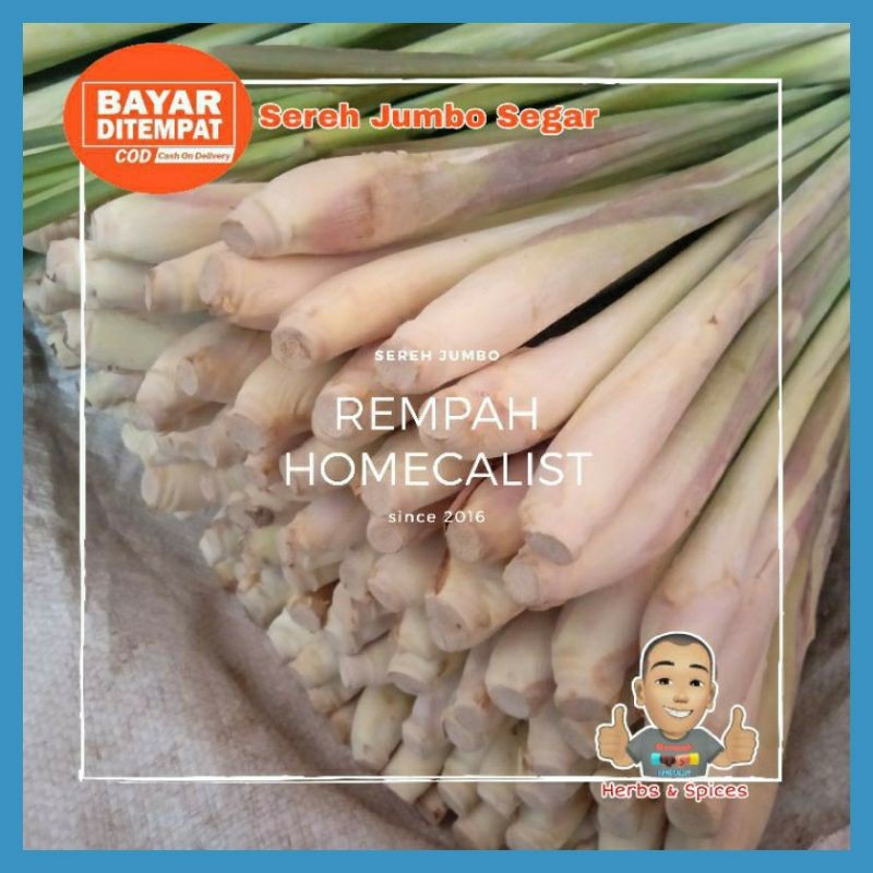 

Serai Bangkok Bersih Sereh Jumbo Daun Sereh Batang Rempah Jsr terlaris