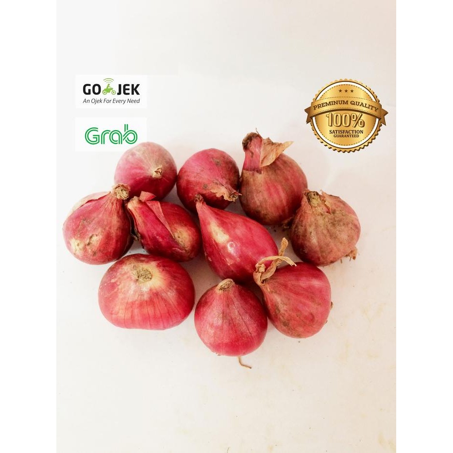 

Bawang Merah Brebes 1kg