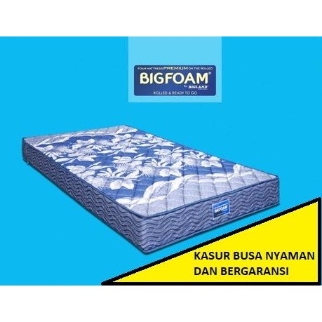 Kasur busa BIG FOAM uk 100 x 200 (KHUSUS SIDOARJO) - tebal 14 cm