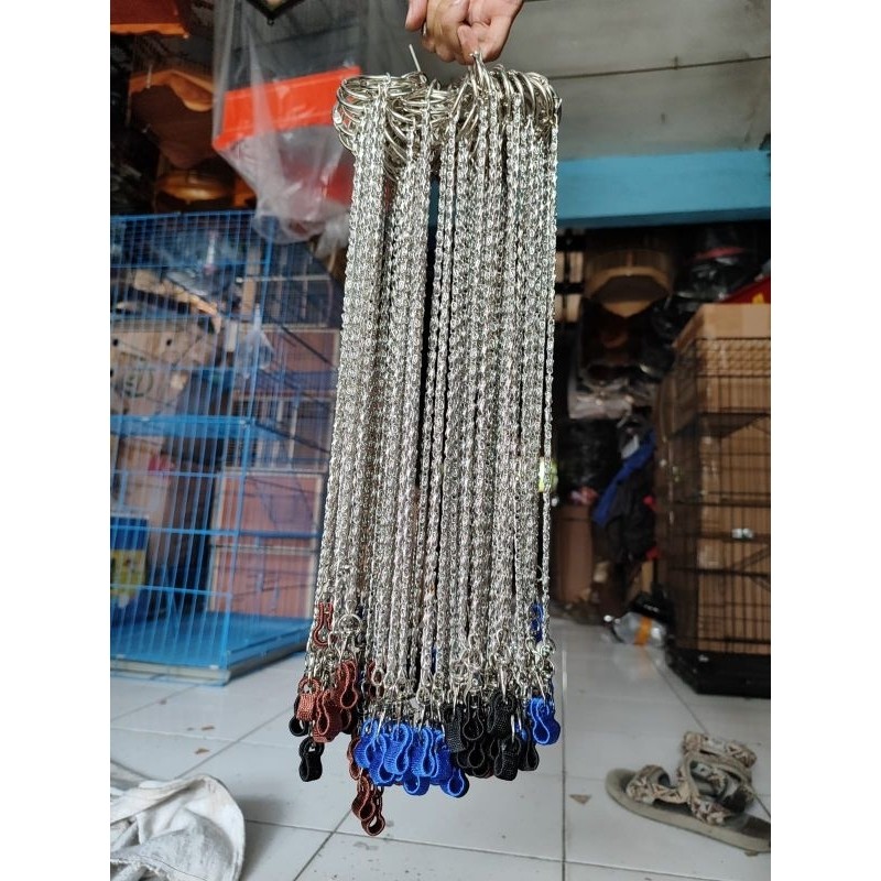 Rantai Burung Nuri Rantai Burung Hantu Rantai Falk Parkit DLL