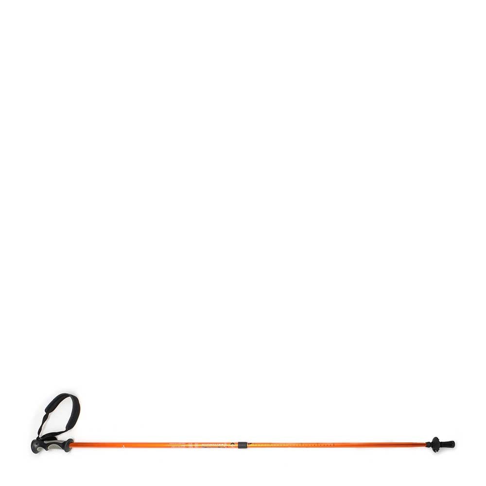 EIGER TREKKING POLE 2 SECTION