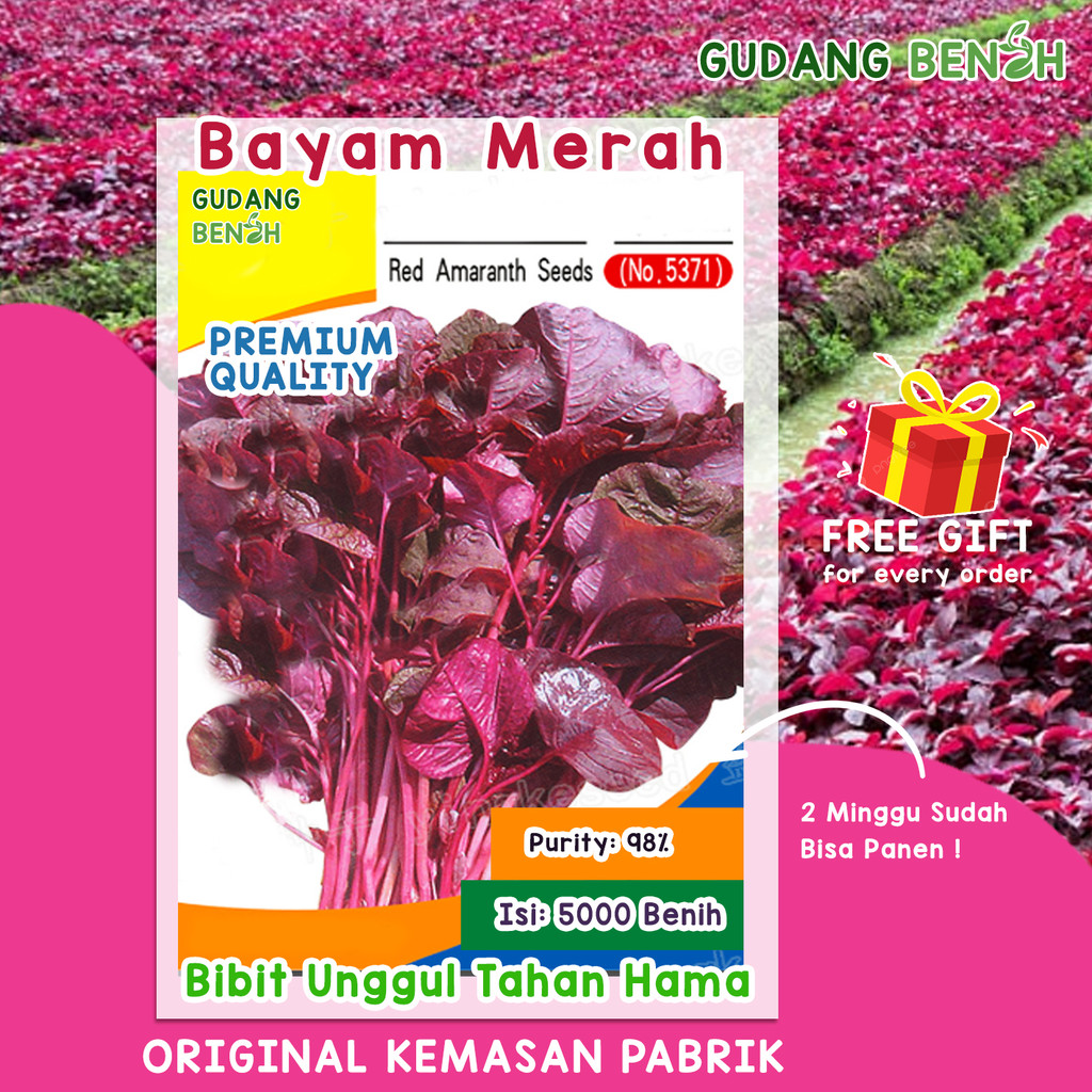 Benih Bayam Merah / Bibit Bayam Unggul / Bibit Sayur Isi 5000 Tahan Hama / Benih Bayam F1