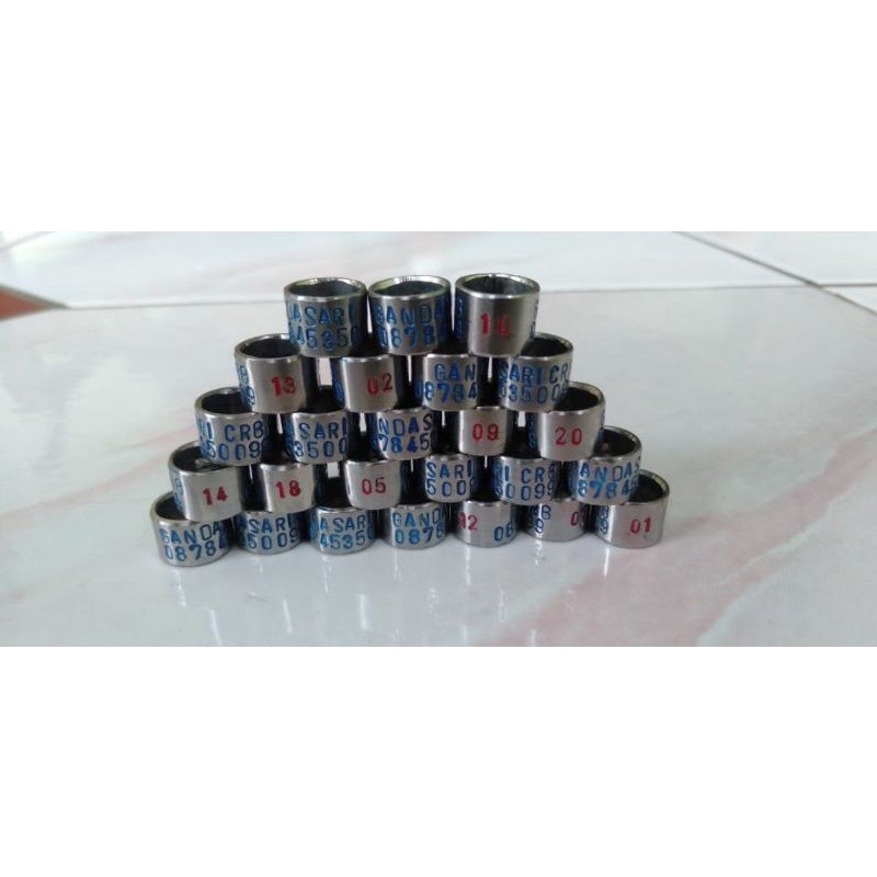 | RING BURUNG MERPATI  PUTER PELUNG MODEL BAJA  KETROK .