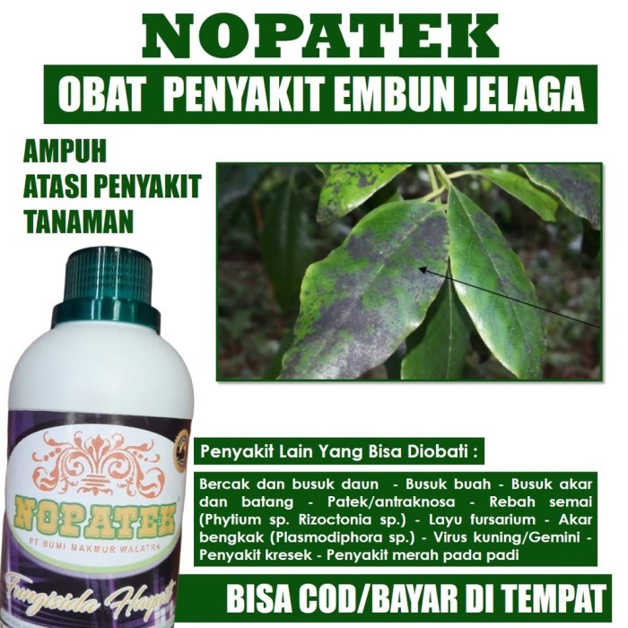 OBAT HAMA PENYAKIT EMBUN JELAGA DAUN MANGGA, JERUK, PADI DAN LAINNYA FUNGISIDA NOPATEK - Pupuk Organ
