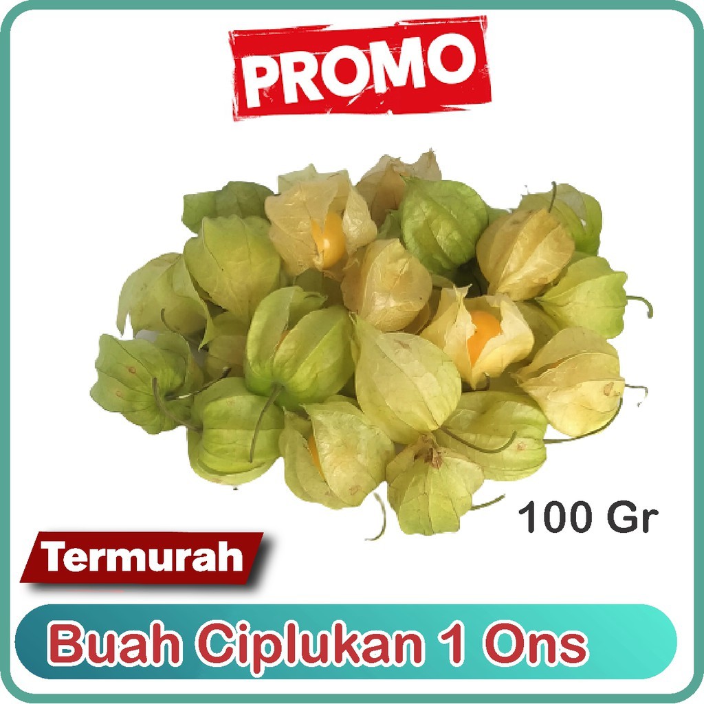 

Jual Buah Ciplukan Murah 100gram / 1ons -Cecenet - Golden berry From Bandung
