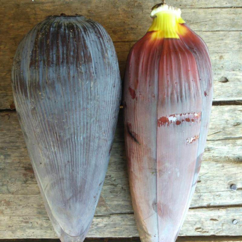 

jantung pisang sayur 1kg