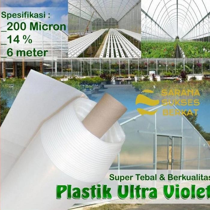 Plastik UV 200 micron Lebar 6 Meter