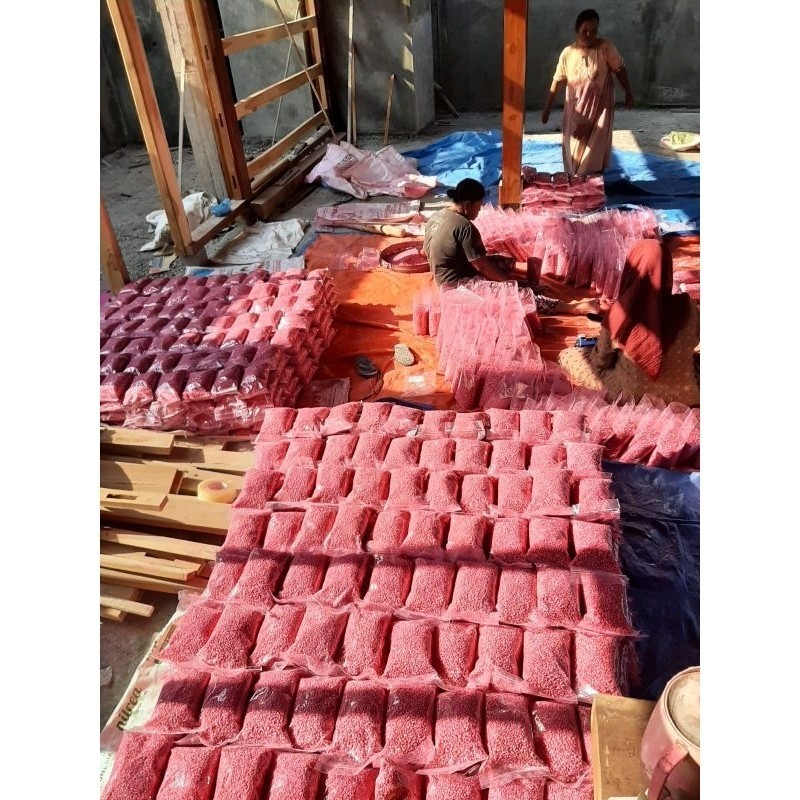 

READY! RIPACK! 1KG BENIH JAGUNG SIAP TANAM SUMO,PERKASA,P27,P21,18,JAGO,PERKASA,212,1KG SIAP TANAM (B.B.19)