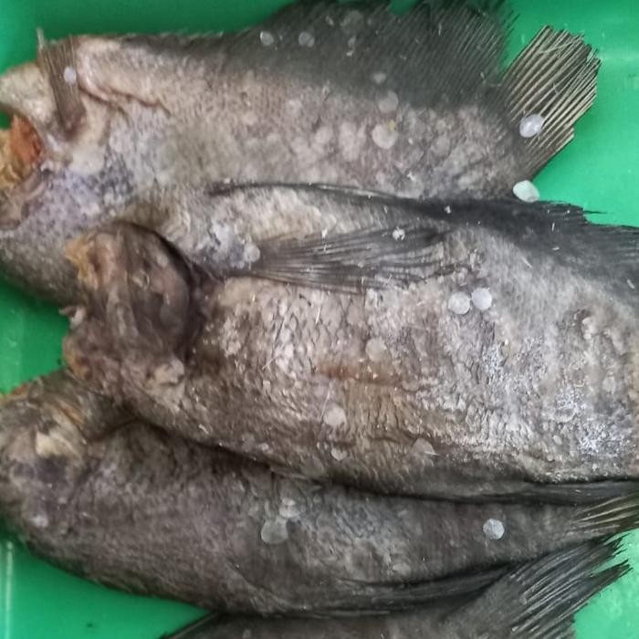 

Ikan Asin Sepat Besar 1 kg