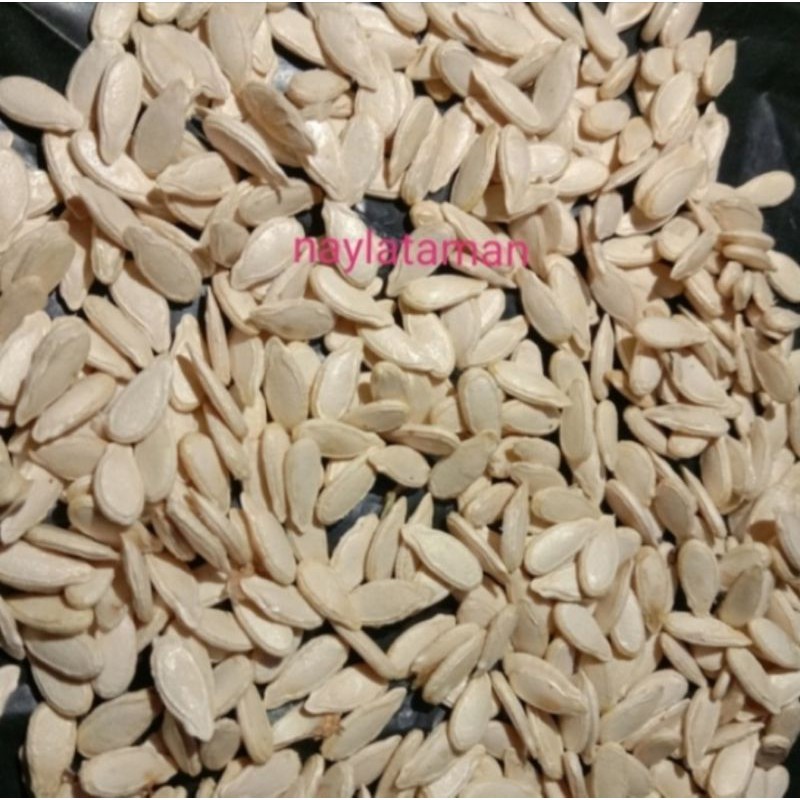 Biji Benih Buah Bligo/Kundur 150 Butir - Herbal