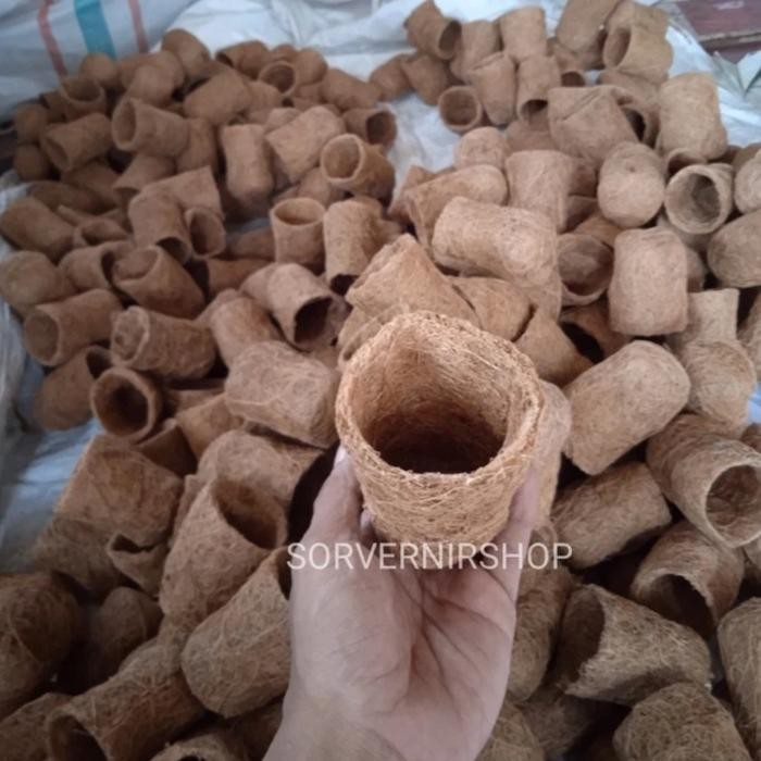 Pot pembibitan anggrek sabut kelapa pot sabut kelapa pot sabut kelapa mini