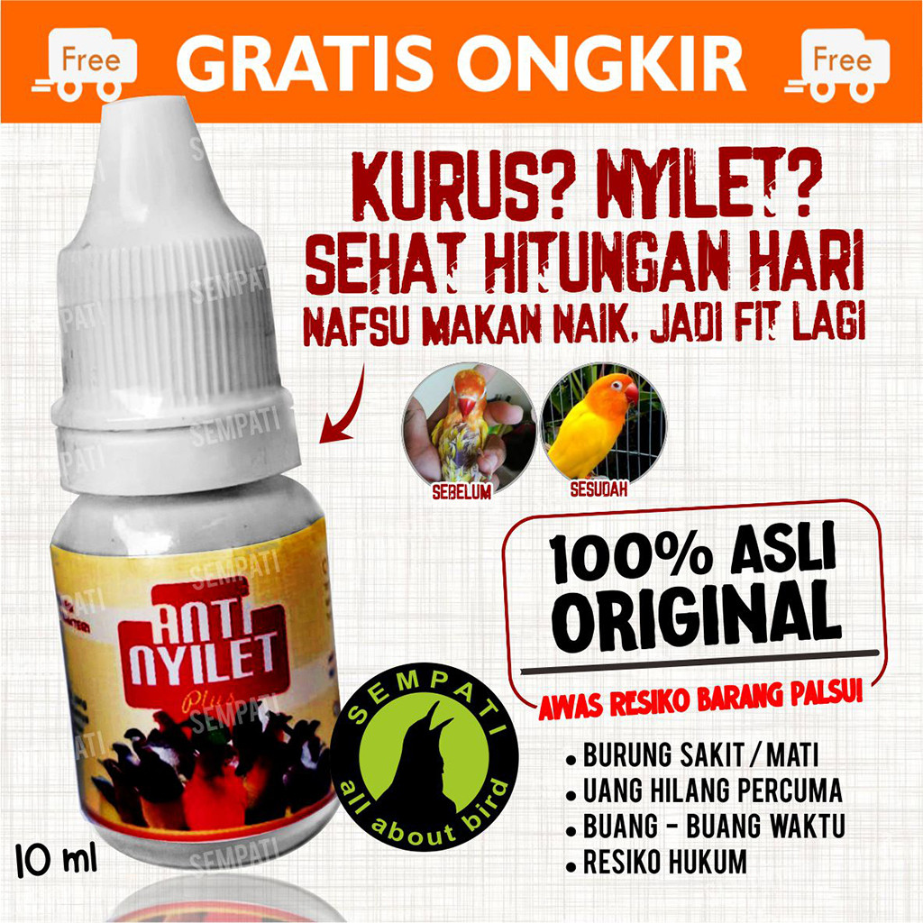 SEMPATI ANTI NYILET HORE OBAT BURUNG SAKIT KURUS NYILET LESU SNOT NTUK LOVEBIRD KENARI KACER MURAI P