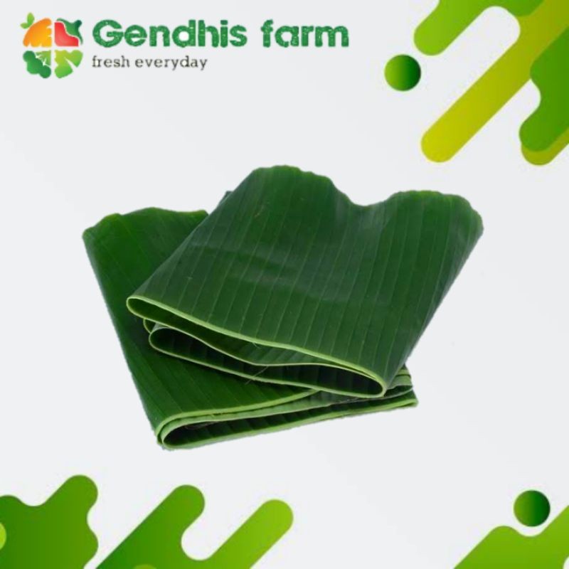 

Daun Pisang [2 Lembar] berkualitas