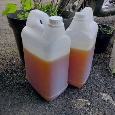 

Madu Curah TJ Isi Bersih 5 Kg