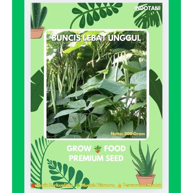 BMB+ Benih Bibit Buncis Lebat Unggul / Bibit Buncis Berkualitas / Buncis Lebat
