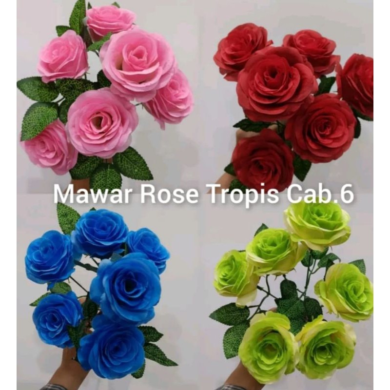 

ROSE TROPIS CAB 6 LUSINAN (12 tangkai)