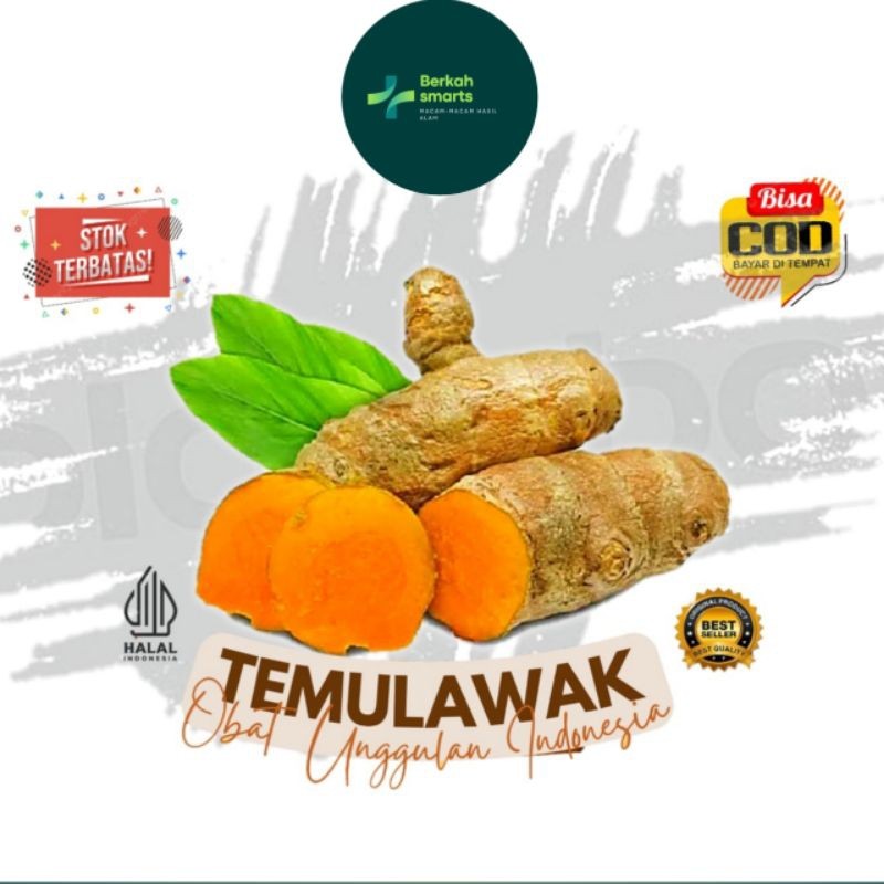 

1 kg Temulawak Temu Lawak Segar Organik (B_S) .