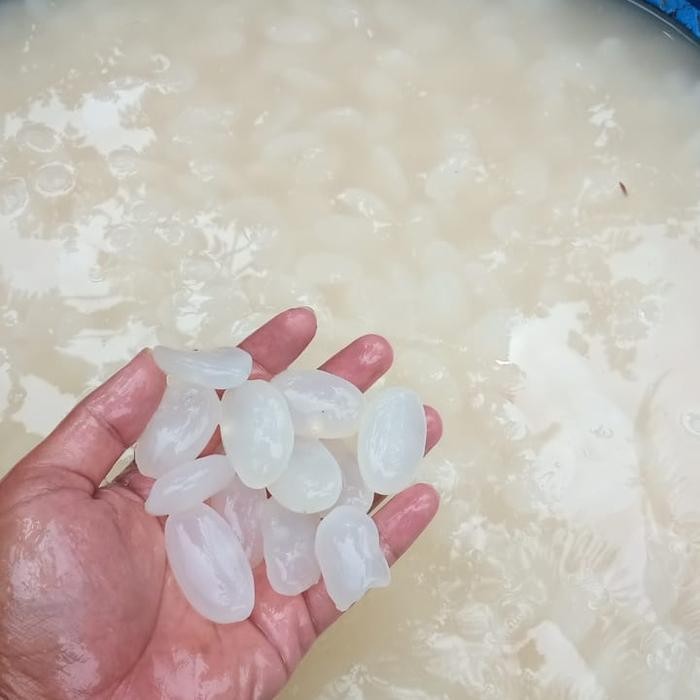 

Kolang Kaling mentah 1 kg - 1/2 kg ready