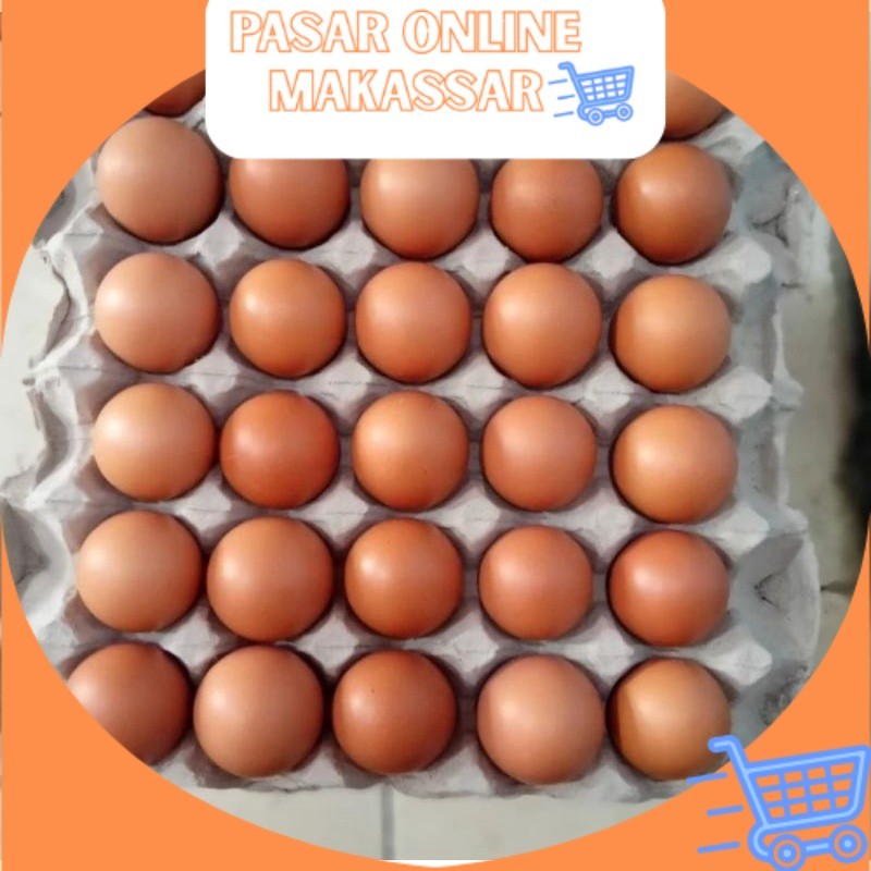 

Telur Ayam Grade Standar Besar