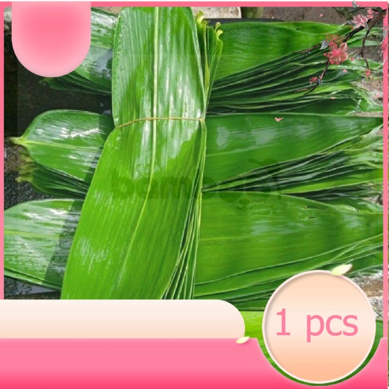 

Daun Bambu Daun Bambu Segar Bungkus Bakcang Ukuran Super - TOKO TANAMAN ABDI