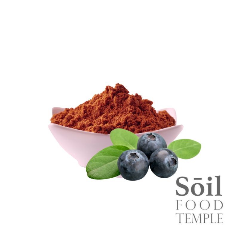 

100gr Blueberry Powder - Bubuk Blue Berry Asli Berkualitas