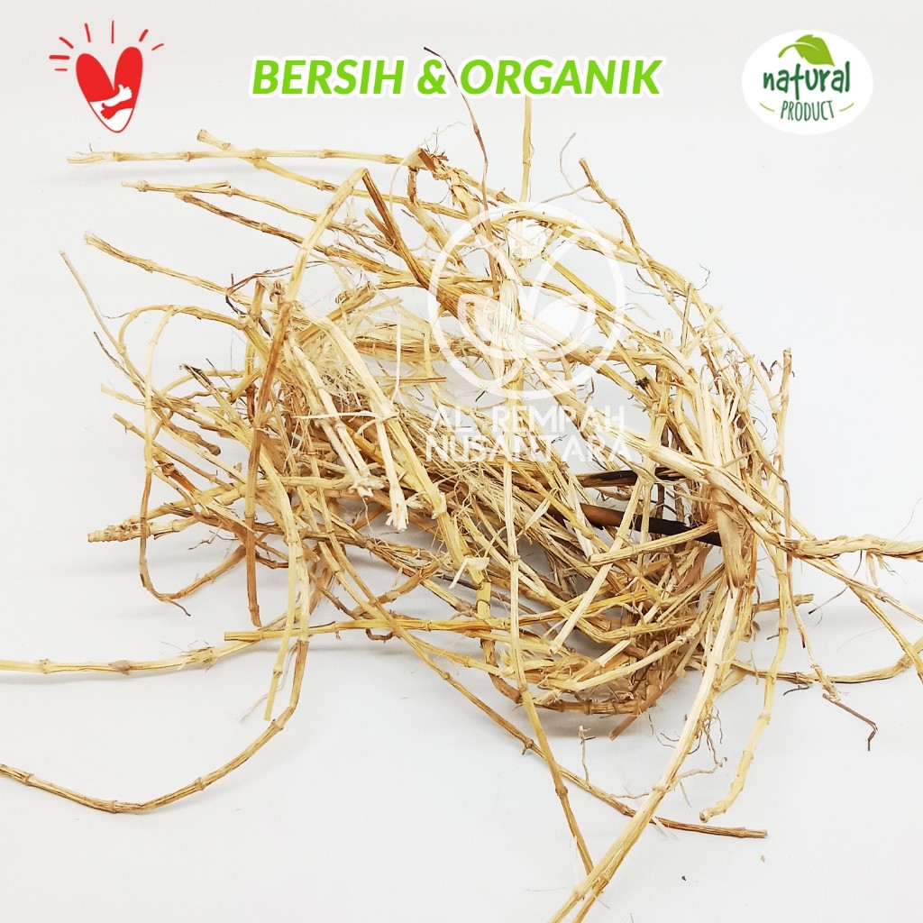 

Akar Alang Alang Kering 1 kg Organik Asli Hutan