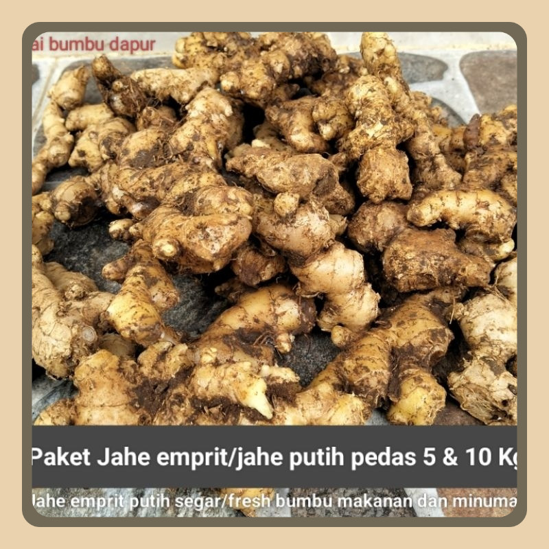

Paket Jahe Emprit/ Putih Bumbu Makanan Dan Minuman 5 & 10 Kg