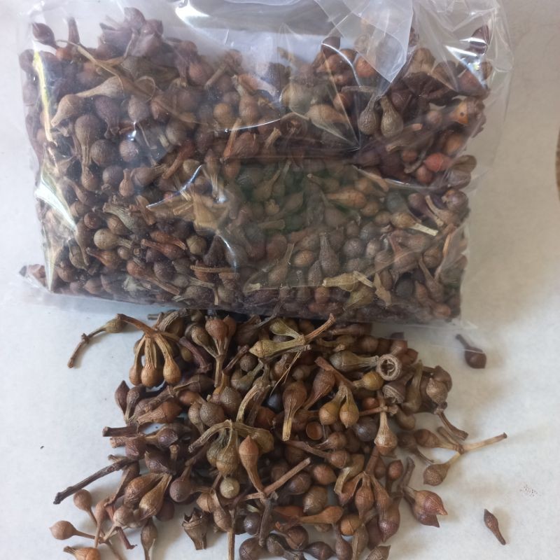 

MURAH Ceplik sari/albak 100gr