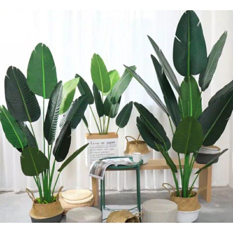 

TOKOKITA DAUN PISANG ARTIFICIAL IMPOR MURAH HOME DEKORASI