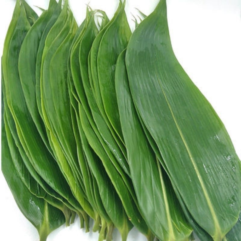 

Lebar 12cm isi 100pcs Daun Bambu bacang / BIG BAMBOO FRESH PREMIUM