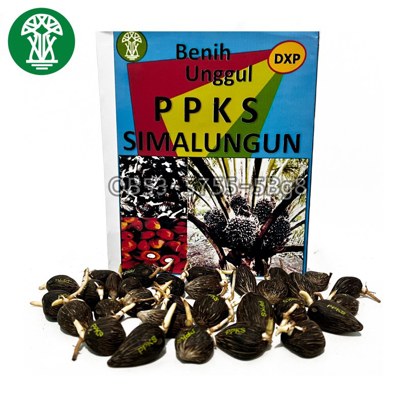 JAMIN MURAH PPKS SIMALUNGUN UNGGUL ORIGINAL BIBIT SAWIT KUALITAS UNGGULAN(BISA LANGSUNG ORDER)