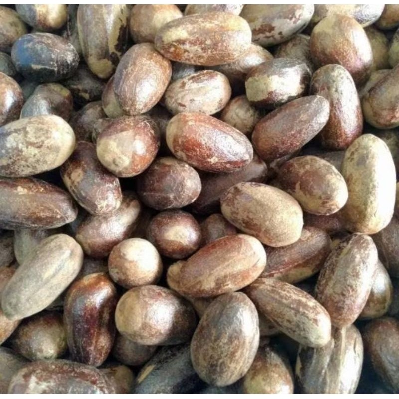 

BIJI PALA lonjong buat masakan 100g